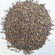 Hot Sale Chinese Hulled Perilla Seeds